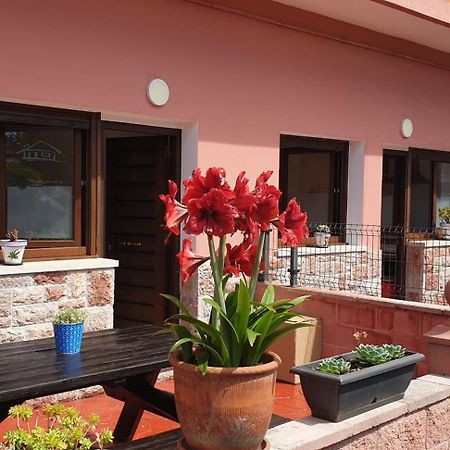 Apartamentos Fermin Cangas de Onis Luaran gambar