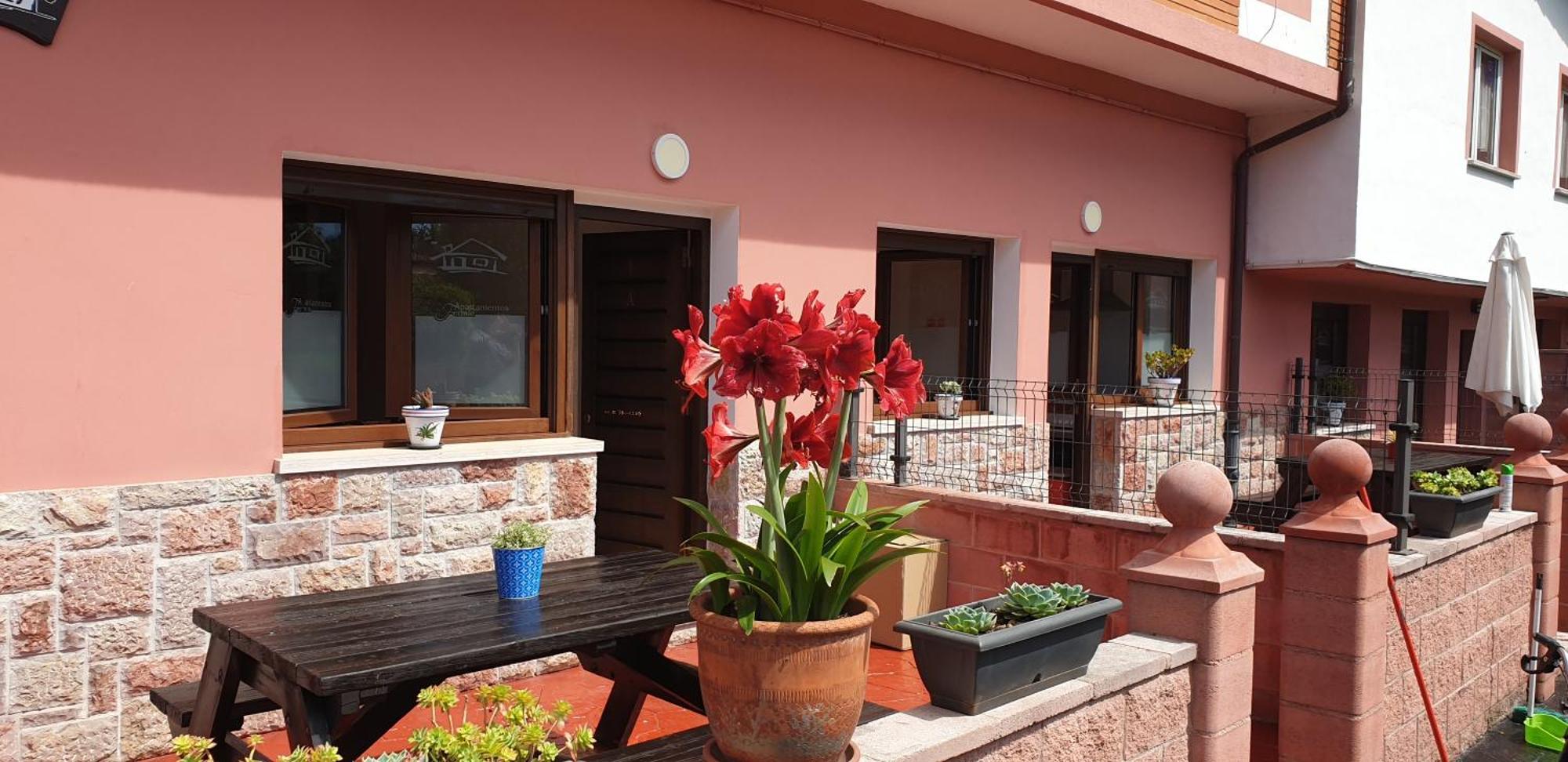 Apartamentos Fermin Cangas de Onis Luaran gambar